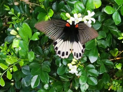 Holiday Let - Mui Wo, Lantau Island Holiday Let - Mui Wo, Lantau Island