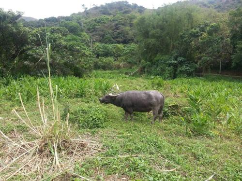 Holiday Let - Mui Wo, Lantau Island Holiday Let - Mui Wo, Lantau Island