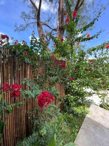 Holiday Let - Mui Wo, Lantau Island Holiday Let - Mui Wo, Lantau Island