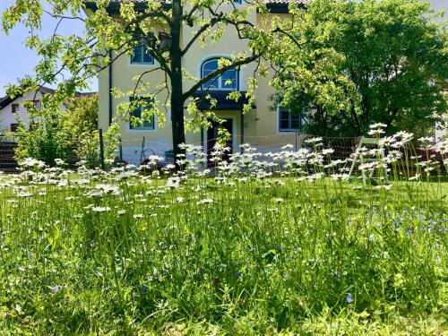 花園, Villa Riedhart in 克拉姆薩赫