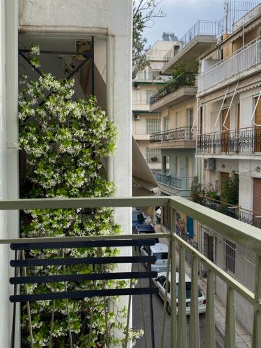 Soho Athene Apartment, Atény (fotografie 4)