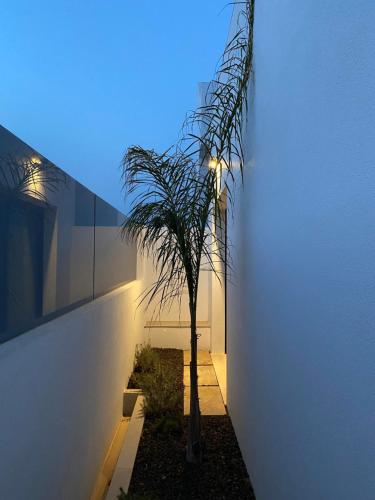 Inmovecos villa de lujo Cabo Negrete