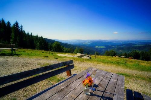 Ümbrus, Glatzl Trahütten Alm (Glatzl Trahutten Alm) in Greith