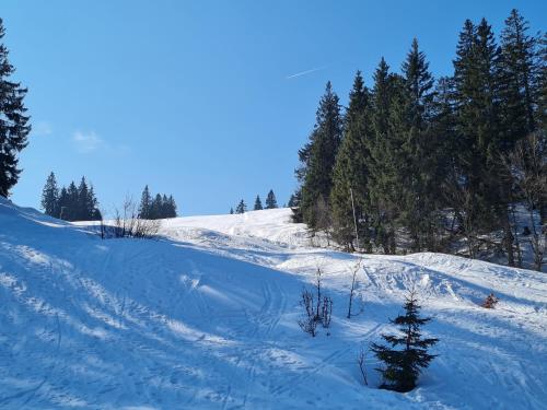 Ferienwohnung BUTTERBLUME, Feldberg - Haus Wiesenquelle