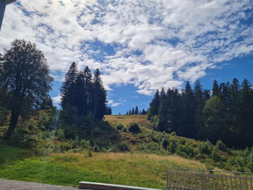 Ferienwohnung BUTTERBLUME, Feldberg - Haus Wiesenquelle