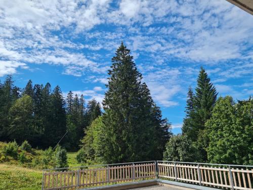 Ferienwohnung BUTTERBLUME, Feldberg - Haus Wiesenquelle