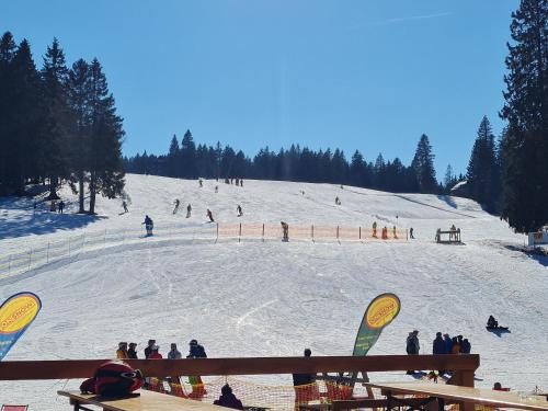 Ferienwohnung BUTTERBLUME, Feldberg - Haus Wiesenquelle