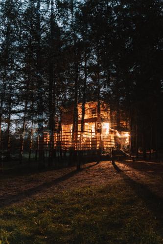 Wood Land Liswarta domki w drzewach in Niwiska