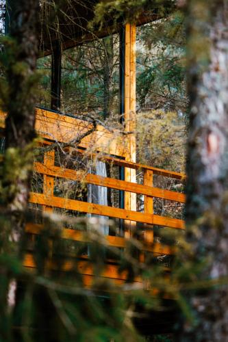 Wood Land Liswarta domki w drzewach