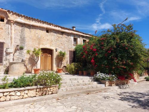 Finca Sa Cova Vella in Petra
