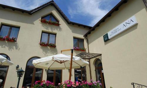 . Hotel Ana