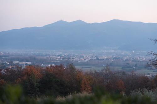 Villa image 10