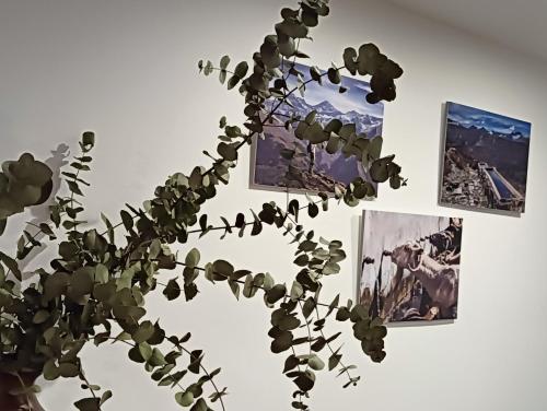 La Casa de la Plaza, Güéjar-Sierra (photo 10)