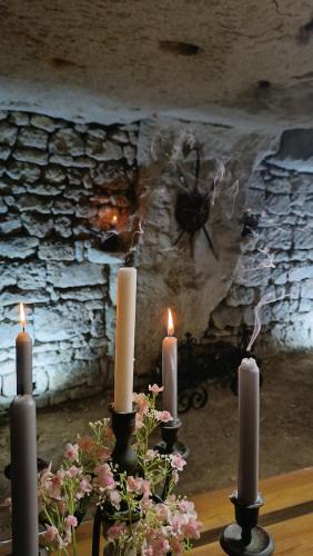 Meublé de tourisme Petit Chail Saint Savinien