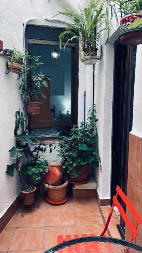 Vallaindiano, Córdoba (fotografie 11)