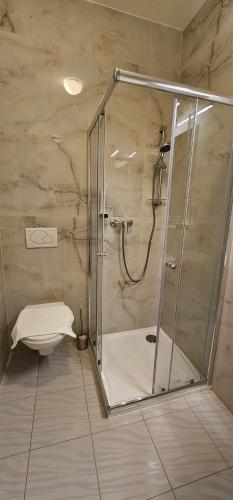 Zamecky Hotel Lednice - image 6