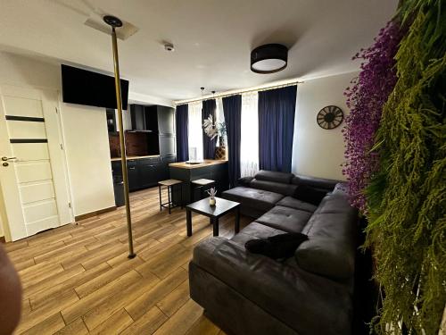 Apartament Sienkiewicza, Wroclaw