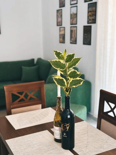 Js House Shkoder 3, Shkodër (foto 2)