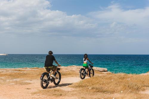 Sani Verde Sani Verde