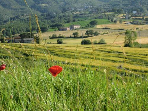 Casa Vacanze Il Piccolo Noce