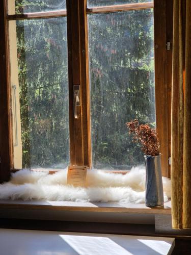 Uitzicht, Lötschberg Zentrum (Lotschberg Zentrum) in Kippel