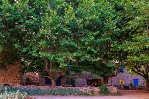 Charmant mas provençal avec piscine proche Forcalquier