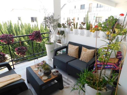 Erkély/terasz, Paramount Gardens Resorts C202 in Tersefanou