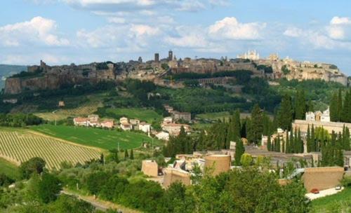 Hotel Picchio - image 10
