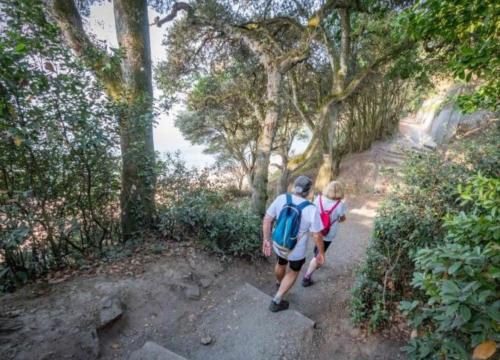 Tente 2 places installée sur emplacement 40 camping calme