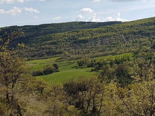 Charmant mas provençal avec piscine proche Forcalquier