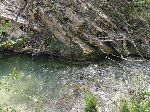 Charmant mas provençal avec piscine proche Forcalquier