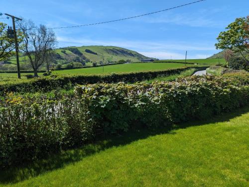 Sarn Y Glyn in Mid Wales Cambrian Mountains near Llanidloes Powys