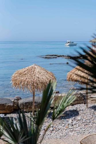 Stella di Mare-Shuttle Free