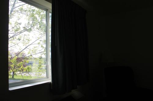 American Host Inn - image 6