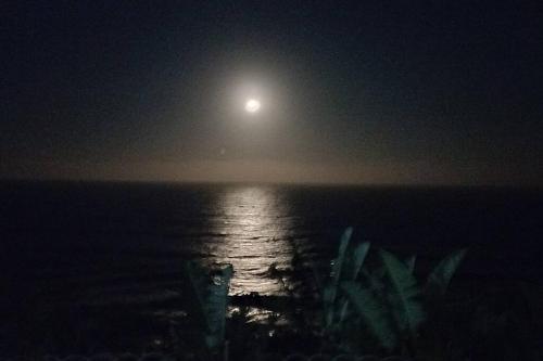 Front Row - Santorini Estate, Ballito - Family Only, Ballito (foto 5)