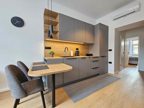 Elegant Teo Apartment TourAs in Ljubljana Old Town, Lublaň (fotografie 4)