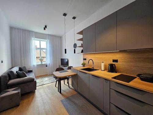 One-Bedroom Apartment image 4