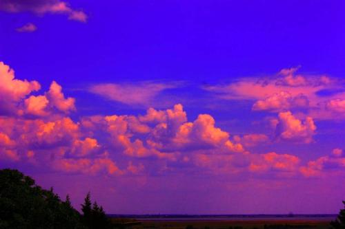 Doppelzimmer mit Seeblick - Neusiedlersee