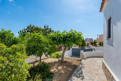 Deluxe Villa image 6