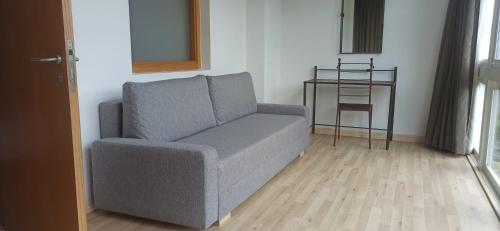 2 twin beds, 1 sofa bed