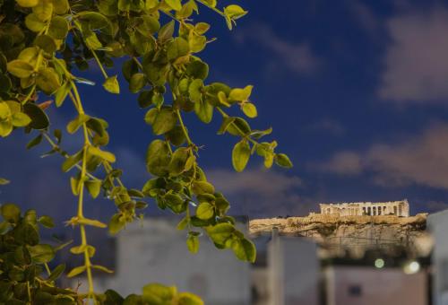 The Residence - Christokopidou Hotel & SPA - image 10