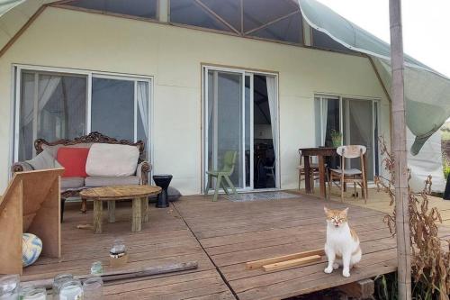 Eco house on the mountain in เมนาฮามิยา