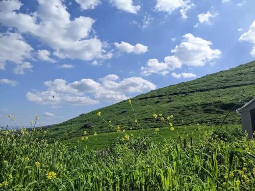 Eco house on the mountain in เมนาฮามิยา