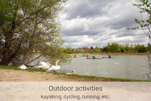 Outdoor Adventure Smart Riverside Pet Friendly