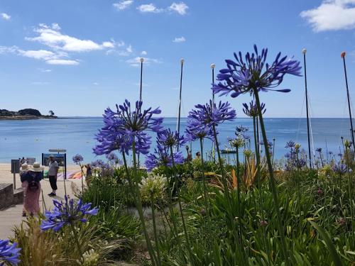 Camping De La Plage Bénodet - 400 mètres de La Plage