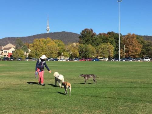 A környék, Cosy contemporary 1BR plus sofa bed - Hosted by CanStay in O'Connor