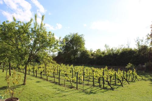 La Vigneraie de Laura