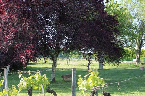 La Vigneraie de Laura