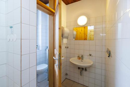 House Budkovič - image 13