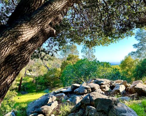 Emerald Ranch of Yosemite